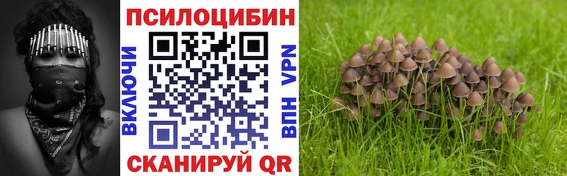 Псилоцибиновые грибы мицелий  Купить закладки  Бородино 